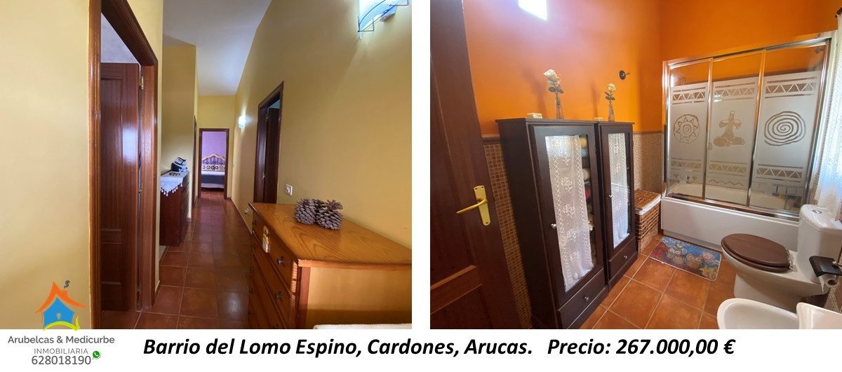 lomo espino PROXIMAMENTE (12)