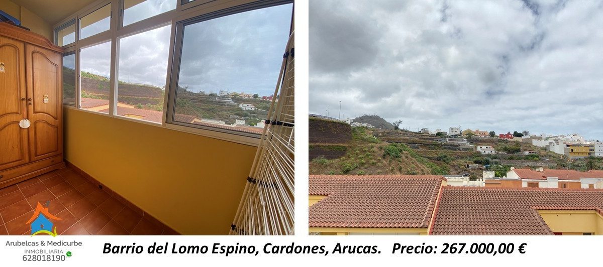 lomo espino PROXIMAMENTE (14)